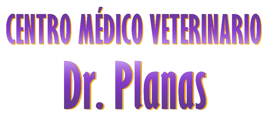 veterinaria dr planas